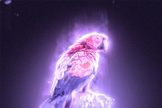 Light Photoshop Action, a Preset Add-On by MRI STUDIO (Thumbnail 3 of 14)