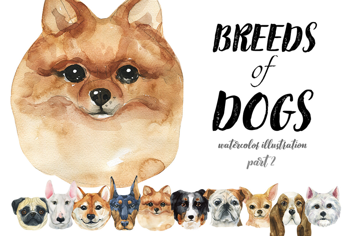 Breeds of dogs - watercolor. Part 2, an Animal Illustration by KatBranchArt (Photo 1 of 5)