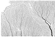 Growth - 50 Backgrounds, a Texture Graphic by GarryKillian (Thumbnail 5 of 51)