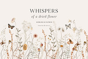 Wildflowers watercolor floral botany, a Decorative Illustration by Grace Noboa Illustrations (Thumbnail 7 of 17)