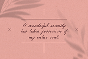 Inola Hand Lettered Font, a Script Font by Wild Ones (Thumbnail 12 of 12)