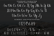 Winter Sunday, a Handwritten Font by FreshTypeINK (Thumbnail 8 of 8)