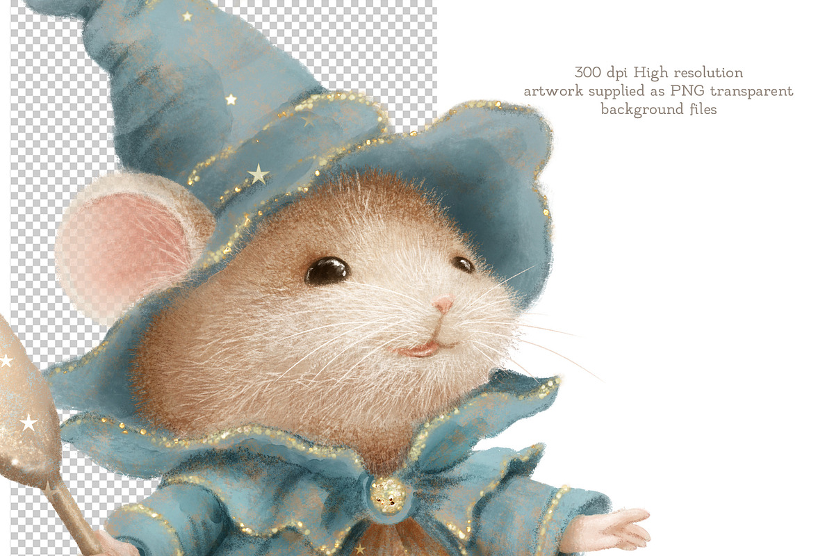 Cute Humsters Collection, an Animal Illustration by AlenaVlasko stock Market (Photo 2 of 5)