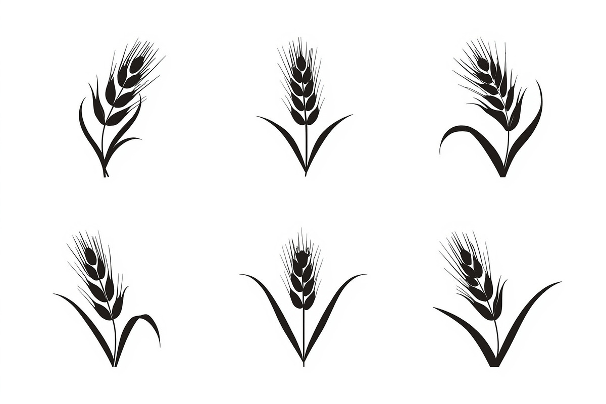 Grass & Wheat Files, an Illustration by jahid234 (Photo 5 of 9)