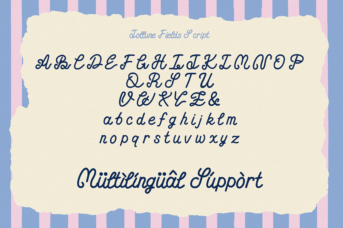 Jollune Fields Font Duo, a Handwritten Font by Sixtype (Photo 8 of 10)