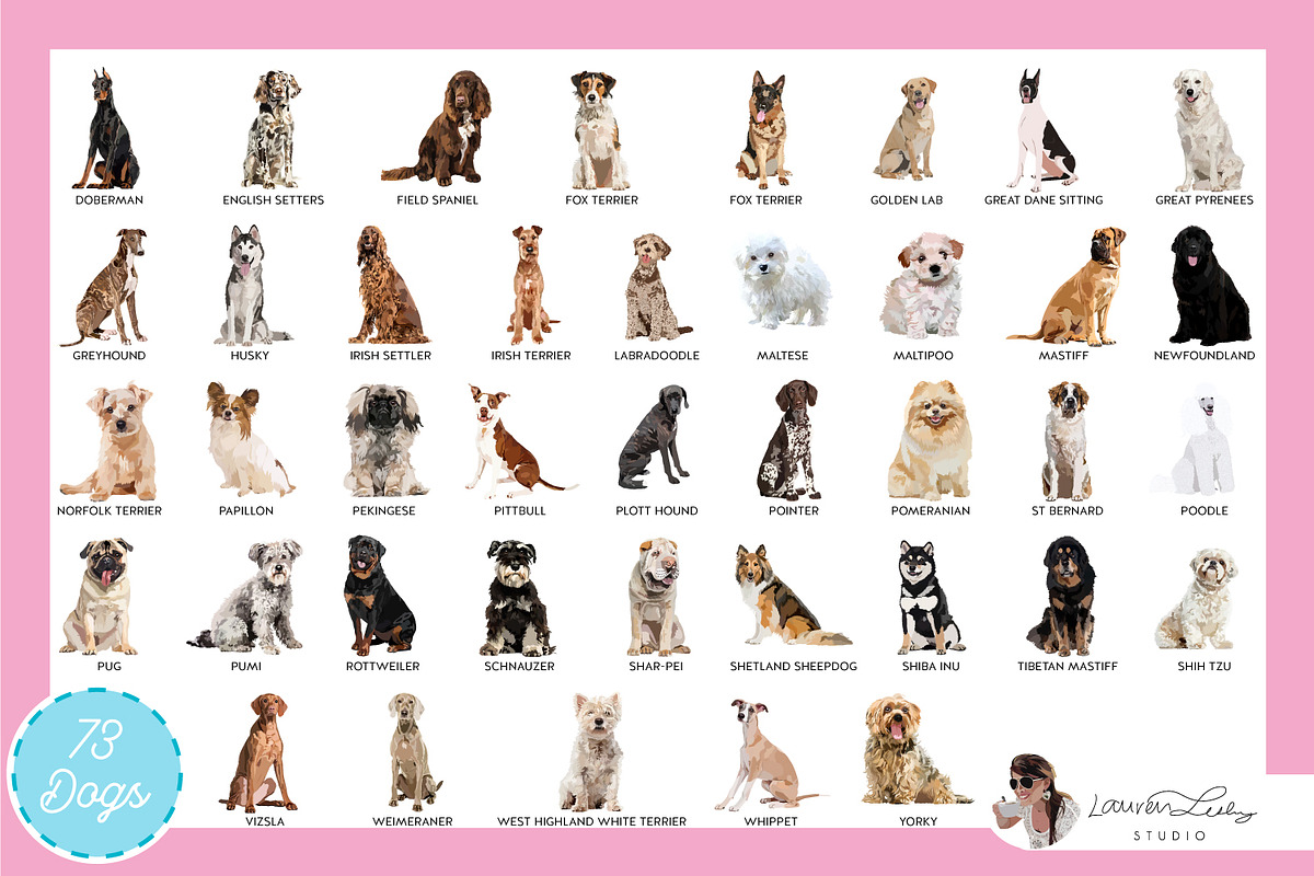 Dogs + Cats Vector Bundle, an Animal Illustration by Lauren Lesley Studio (Photo 4 of 4)