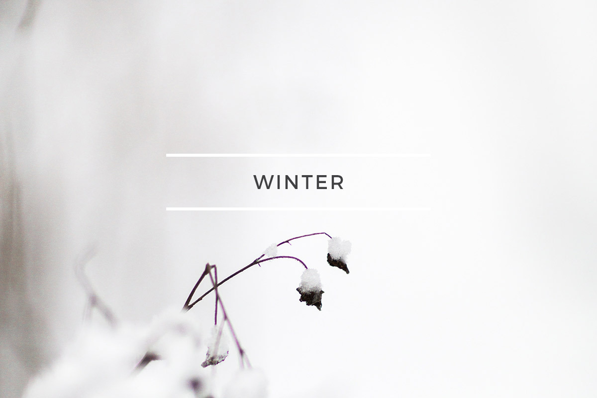 50 % OFF Winter stock photos, a Product Mockup by Nellaino (Photo 4 of 5)