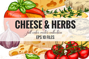 Cheese. Vector collection.