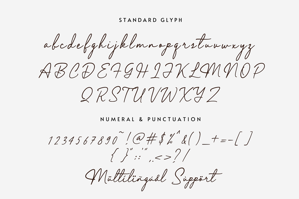 Elegant Lady, a Script Font by Sronstudio (Photo 11 of 13)