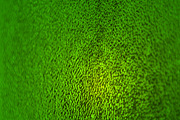 34 Colored Glass Backgrounds, a Texture Graphic by Wildlife Wonder (Thumbnail 31 of 36)