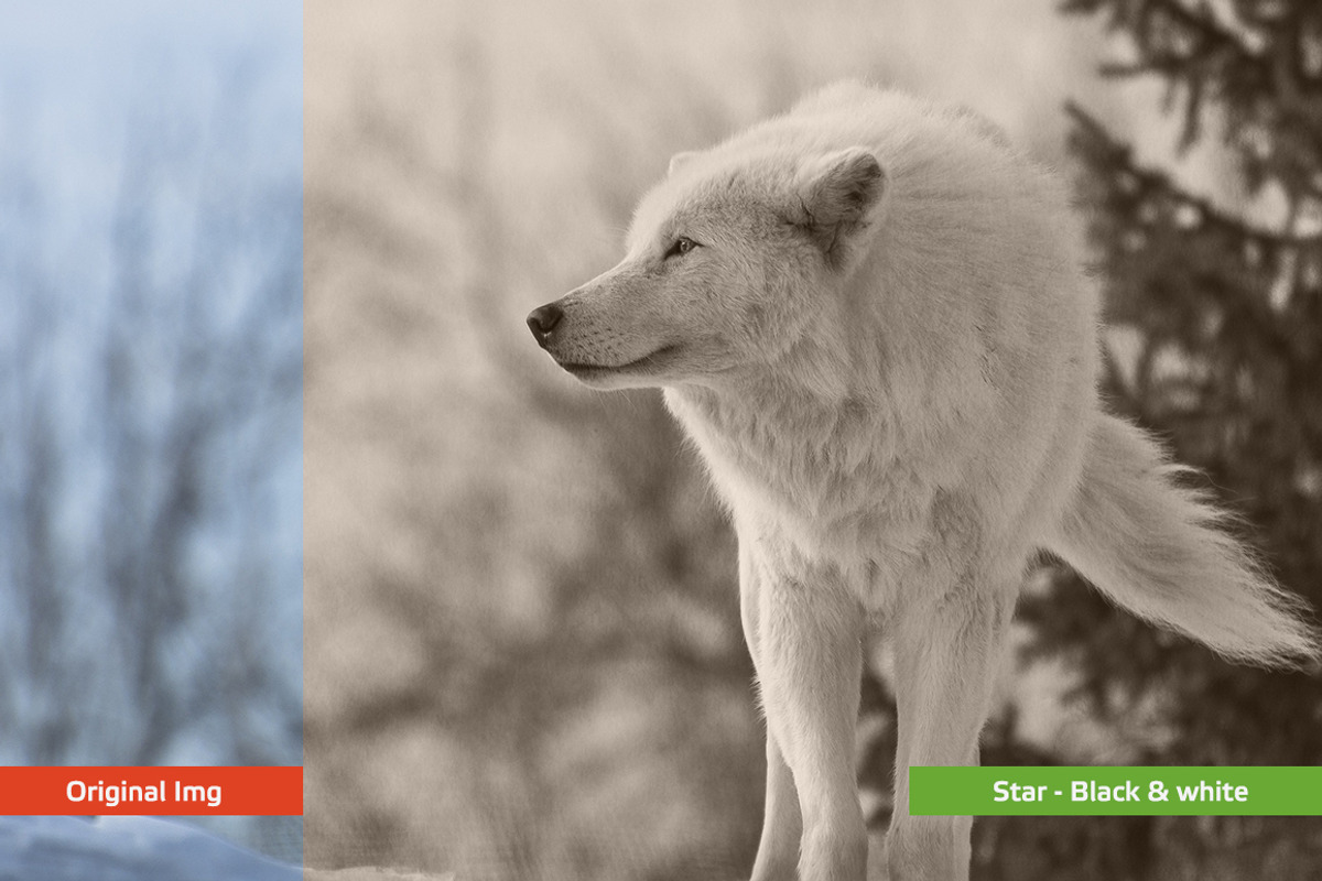 24 Black & White Photoshop Actions, an Action Add-On by Premium Adobe Add-Ons (Photo 3 of 11)