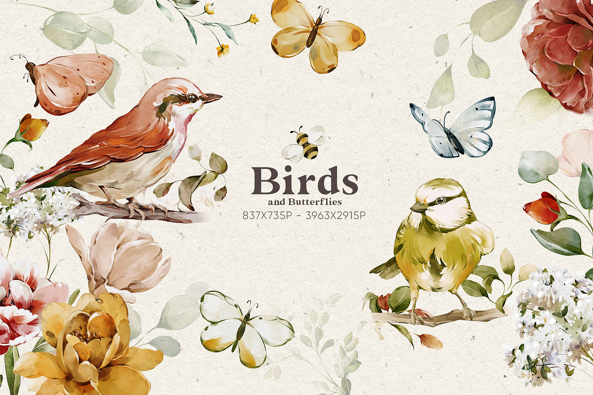 Watercolor Flower Collection, a Decorative Illustration by Damian Roh (Photo 11 of 19)