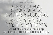 Honorveil - Elegant Serif Font, a Serif Font by Flawless And Co (Thumbnail 10 of 10)