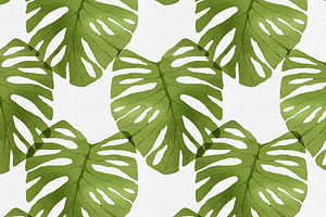 Watercolor Monstera Seamless Pattern