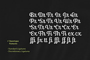 Ralsteda Font Family, a Script Font by Seniors (Thumbnail 11 of 18)