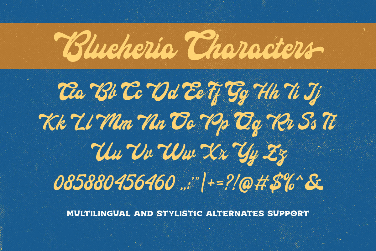 Blueheria- Display Script, a Script Font by Letterhend Studio (Photo 4 of 9)