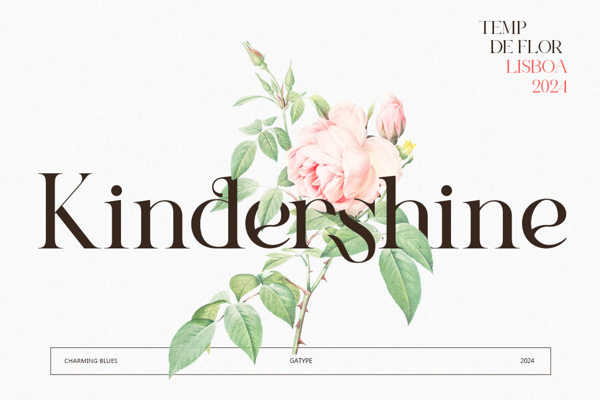 Charming Blues, a Serif Font by Gatype (Photo 6 of 11)