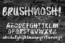 BRUSHMOSH!