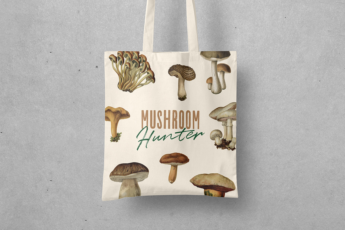 Fungi - Vintage Illustrations, an Illustration by Graphic Goods (Photo 6 of 9)