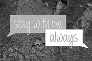 Always Forever Font Family, a Script Font by Brittney Murphy Design (Thumbnail 4 of 4)