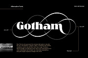 Glosta, a Serif Font by TRF Fonts (Thumbnail 3 of 18)