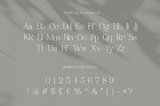 Ragille MODERN LIGATUR TYPFACE, a Serif Font by BOOSH Studio (Thumbnail 9 of 12)