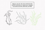 Air Plant Ink Illustration Set, an Illustration by Hannah Eliza Studio (Thumbnail 3 of 5)