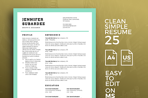 Resume Template 25