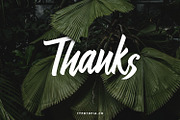 Linimasa - Modern Script Font, a Script Font by edukka (Thumbnail 11 of 11)