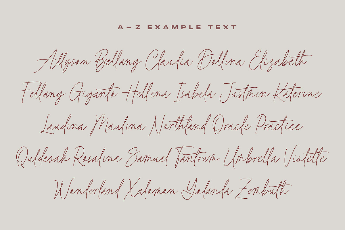Baked Salmon - Monoline Script Font, a Script Font by Subectype Studio (Photo 3 of 9)