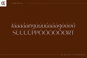 Tweedle - Display Typeface, a Serif Font by Only Fonts (Thumbnail 9 of 10)