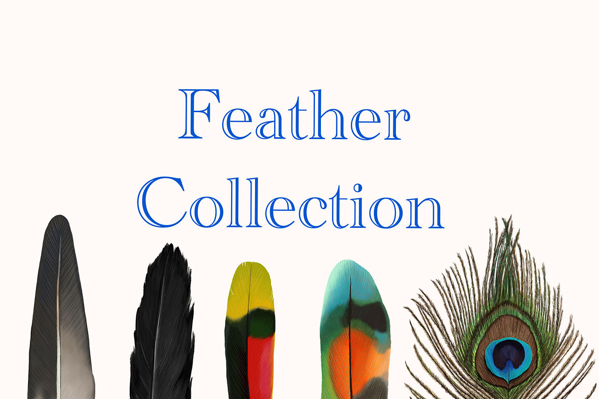 Feather Collection, an Illustration by KiNA (Photo 1 of 2)