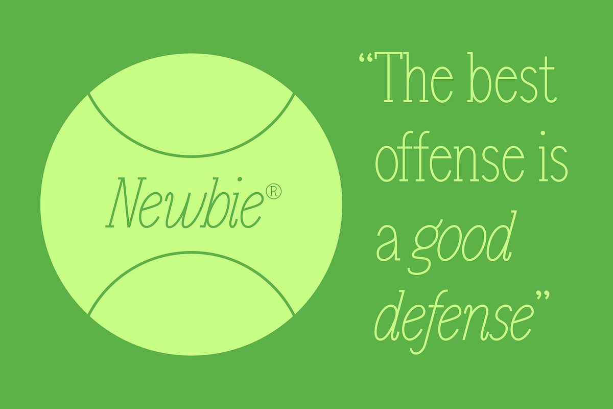 Newbie, a Serif Font by HalfAwakeJake (Photo 2 of 7)