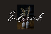 Richmond Woodhaven Signature Font, a Handwritten Font by UICreative (Thumbnail 8 of 13)
