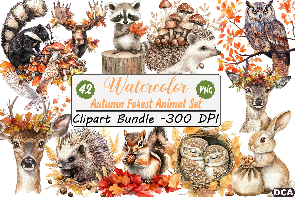 Autumn Forest Animal Set, an Illustration by DreamCafeArt (Photo 1 of 7)