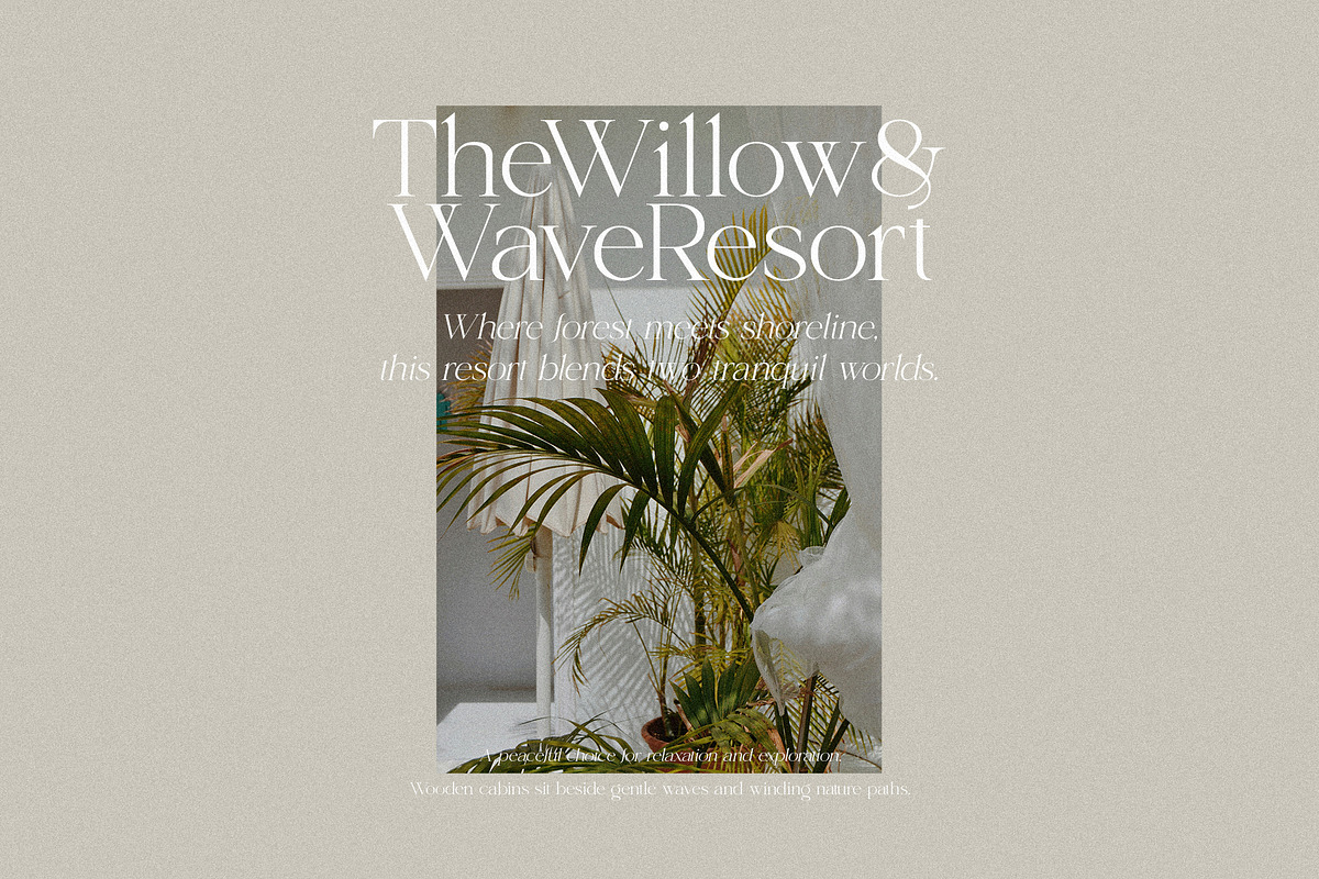 Shoreline - Elegant & Classic Duo, a Serif Font by Misha Sova (Photo 7 of 15)