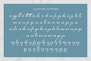 Shineblue - Romantic Calligraphy, a Script Font by RockboyStd (Thumbnail 11 of 12)
