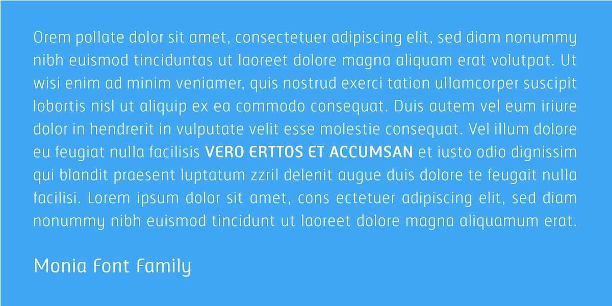 Monia, a Sans Serif Font by VivalaType (Photo 8 of 8)