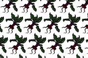 Hand Drawn Vector Beet Graphics, a Food Illustration by Dorey Kronick Art&Design (Thumbnail 7 of 7)