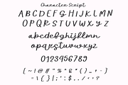 Blooming Dream Duo, a Handwritten Font by SaktiAvellin (Thumbnail 5 of 9)