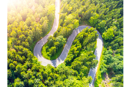 Road serpentine in the forest from, a Transportation Photo by pytyczech