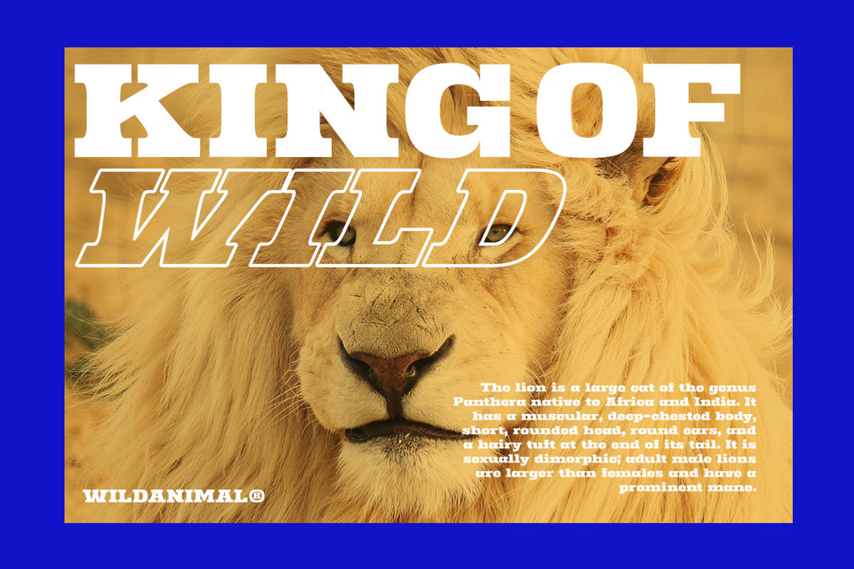 Ridge Cliff - Slab Serif Font, a Slab Serif Font by Letterhend Studio (Photo 3 of 10)