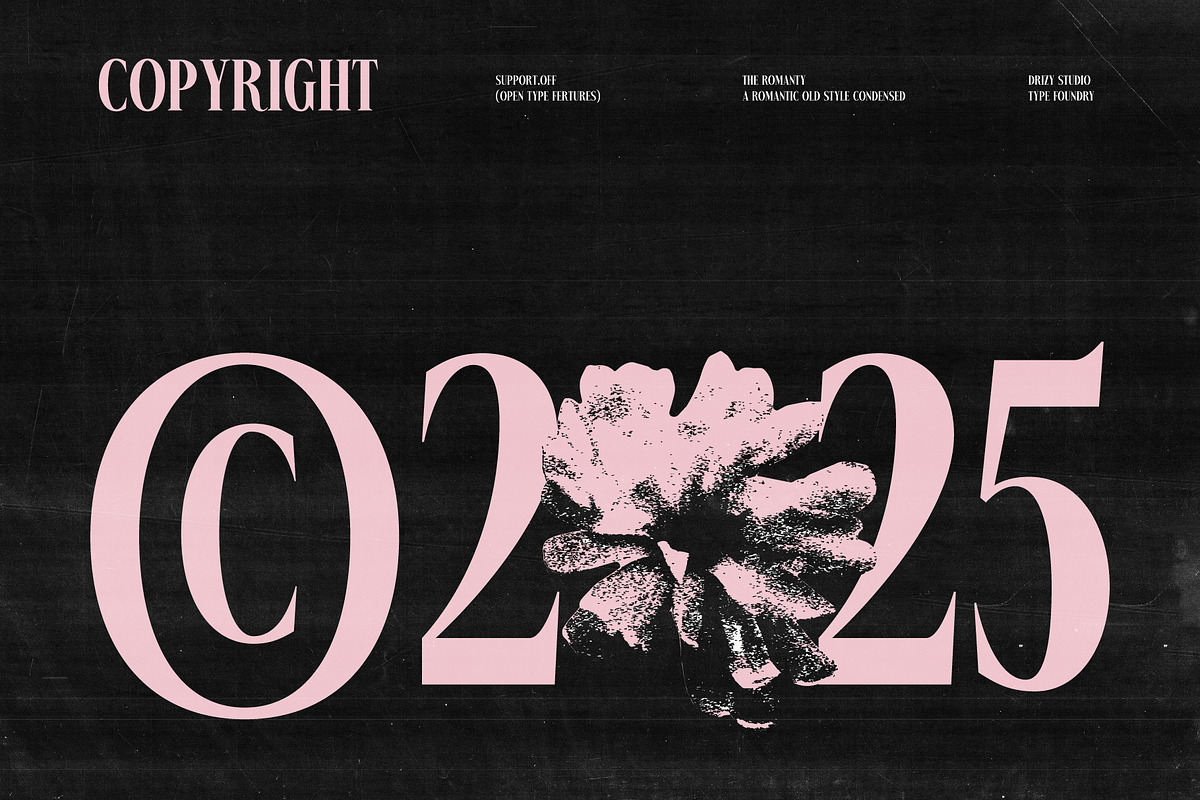 The Romanty – Romantic Old Style, a Serif Font by Drizy (Photo 3 of 10)