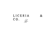 Harvest - Elegant organic serif font, a Sans Serif Font by Sk designs (Thumbnail 4 of 10)