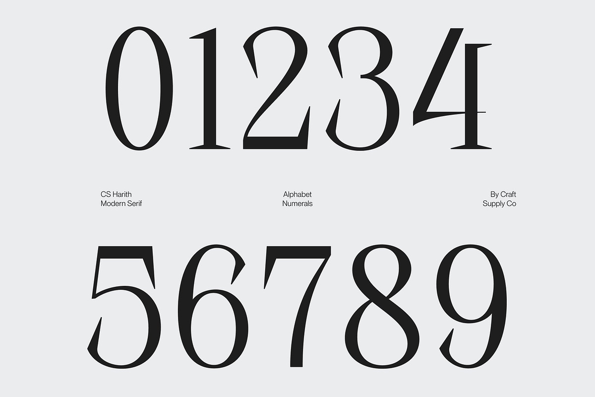 CS Harith – Modern Serif Font, a Serif Font by Craft Supply Co. (Photo 5 of 8)
