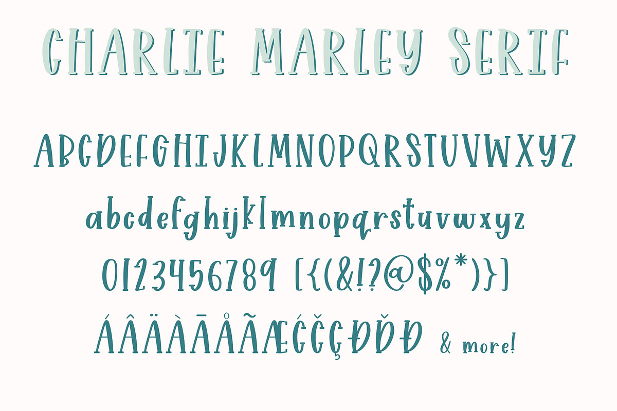 Charlie Marley Script Serif Duo, a Serif Font by Jordyn Alison Designs (Photo 13 of 14)