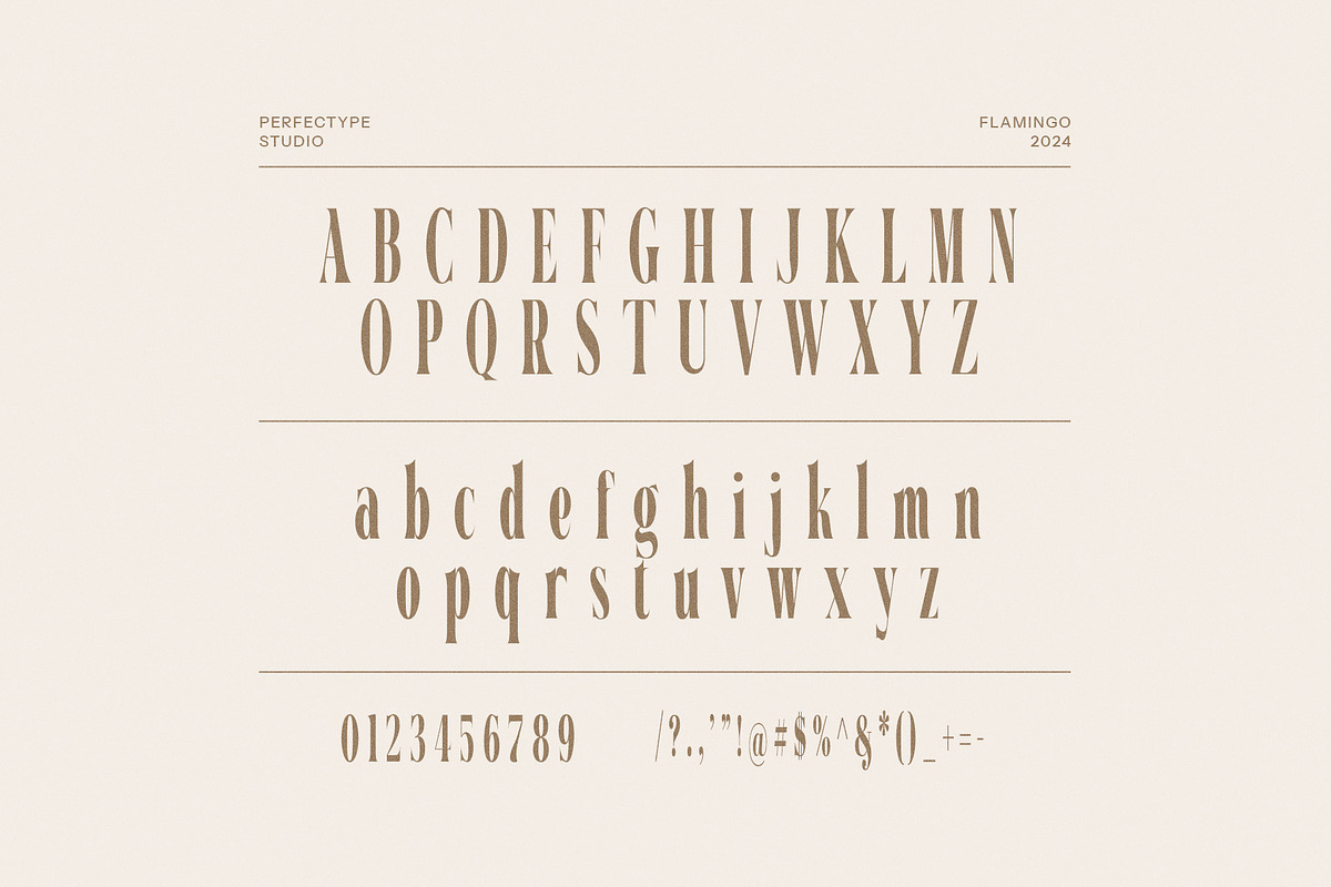 Flamingo Elegant Serif Font, a Serif Font by Perfectype (Photo 8 of 8)