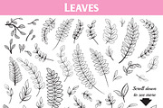 Floral Doodles Collection, a Decorative Illustration by Elinorka (Thumbnail 5 of 9)