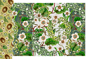 KIWI PATTERNS, botanical watercolor, a Decorative Illustration by EL_SUHOVA (Thumbnail 7 of 13)