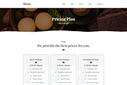 Spa & Beauty Elementor Template Kit, a Landing Page Template by Shasha (Thumbnail 4 of 7)